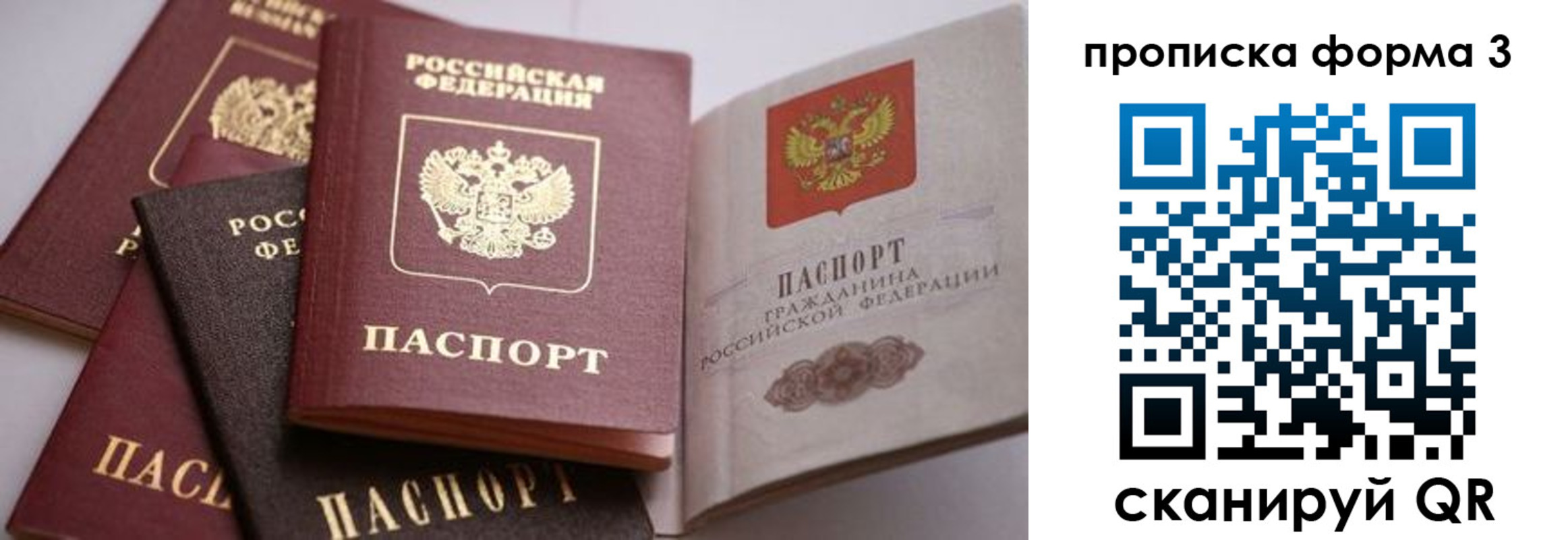 прописка для школы в Ревде